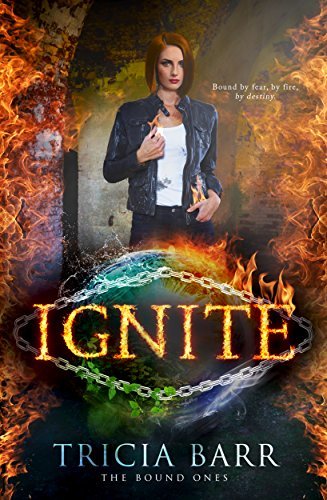 Book Cover Art Work for the book titled: Ignite: A Fiery Paranormal Romance