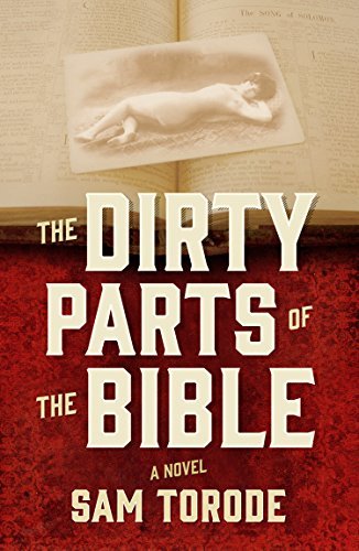 Book Cover Art Work for the book titled: The Dirty Parts of the Bible -- A Novel